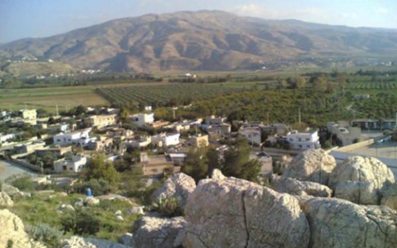 تخصيص 492 وحدة زراعية وسكنية في