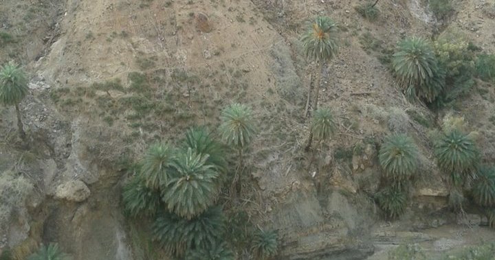 عين سالم خليل الزوايدة تلتقط جمال