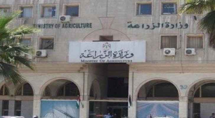الزراعة تحصر استيراد البطاطا بأربعة أشخاص..