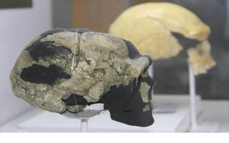 علماء يكتشفون مكان وجود الإنسان الأول