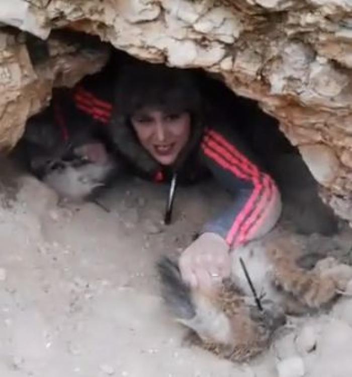 بالفيديو والصور.. هيام عوض.. صحافية تستبدل