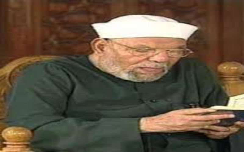 أكاديمي مصري يعتذر عن إساءة للشيخ