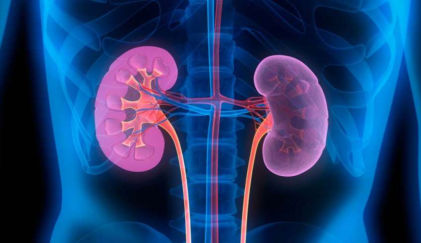 7 أطعمة صحية لمرضى الكلى