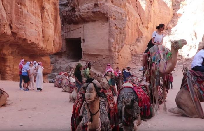 بالفيديو.. قصص أجنبيات تزوجن من بدو