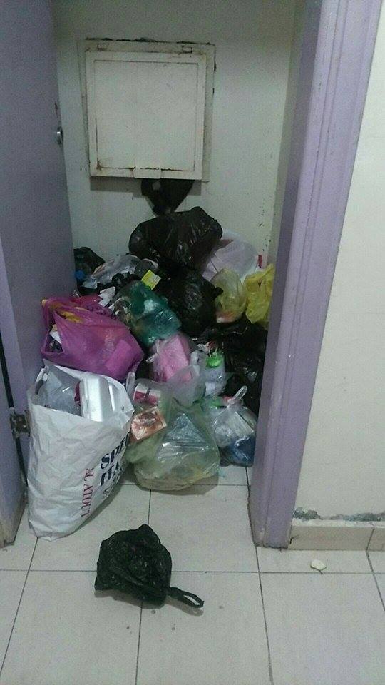 فئران وقمامة في سكن جامعة الحسين