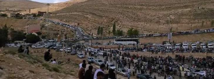 (الترميش الأردني).. طامحون حول حتفهم وبنوك