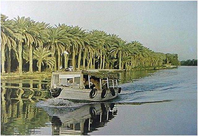 متظاهرون يحرقون الإطارات ويقطعون الطرق بعدد