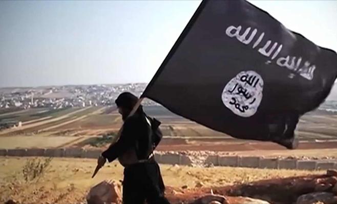 تقرير يكشف جنسيات انتحاريي داعش خلال