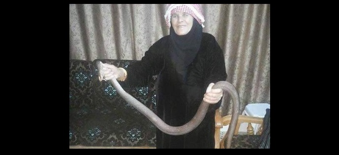 أفرغت سمها ولفتها حول عنقها.. ستينية