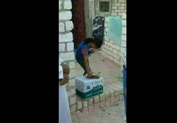 انما جاءوا لالتقاط الصورة فارفعي رأسك