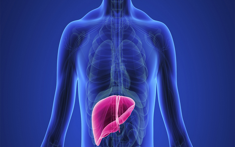 ماذا أوصى الأطباء بمناسبة اليوم العالمي
