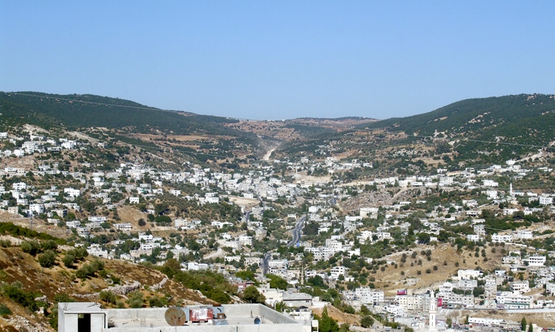 تنمية عجلون توزع 350 اضحية على