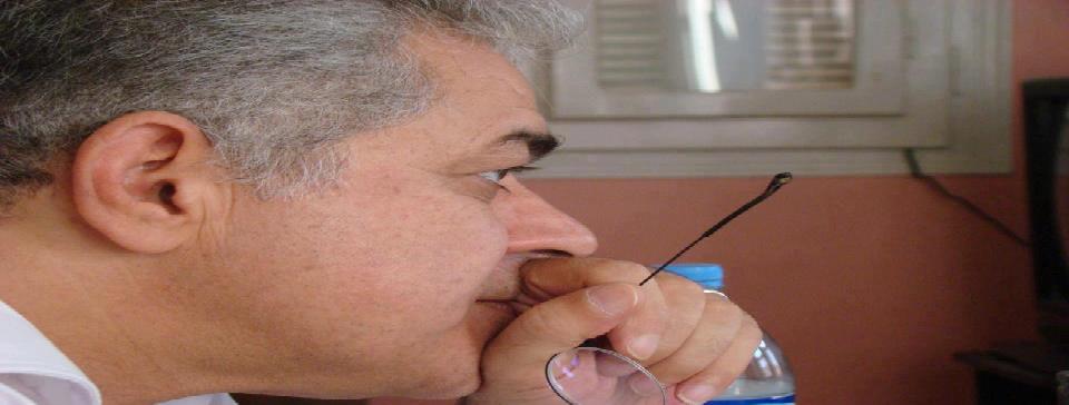 المصريون يبحثون عن حمدين .. عام