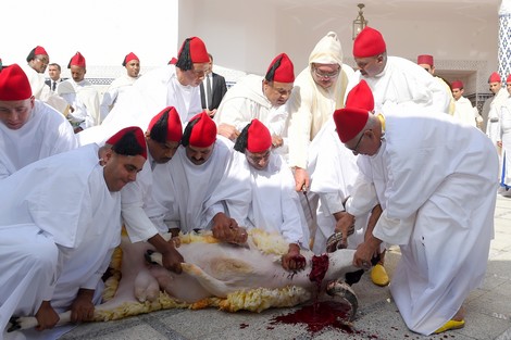 الملك محمد السادس ينحر أضحية العيد