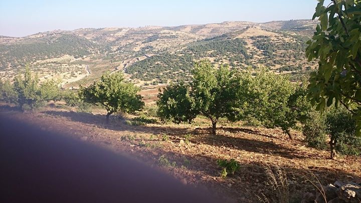 شركة تبيع quot10 دونماتquot في جرش