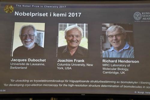 رواد المجهر يفوزون بجائزة نوبل في