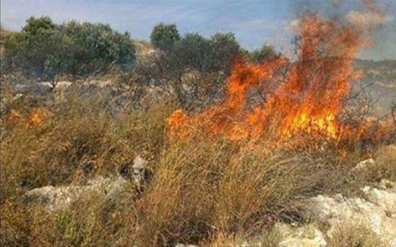 إخماد حريق أعشاب جافة في اربد
