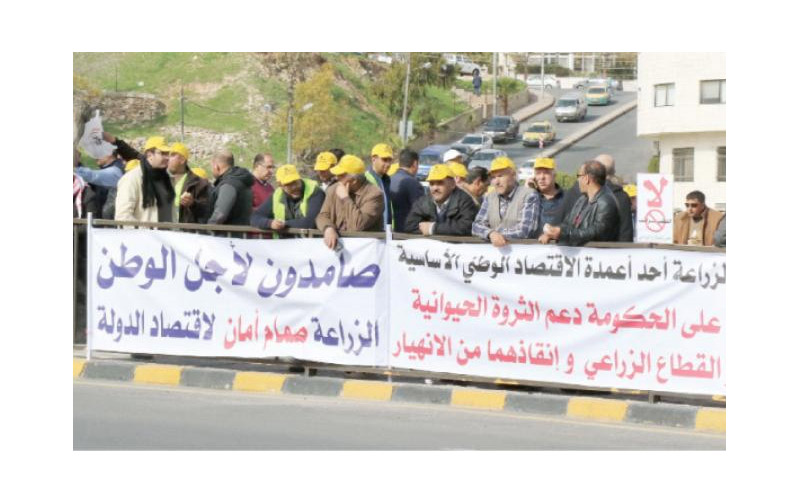 لليوم السابع على التوالي.. المزارعون يواصلون