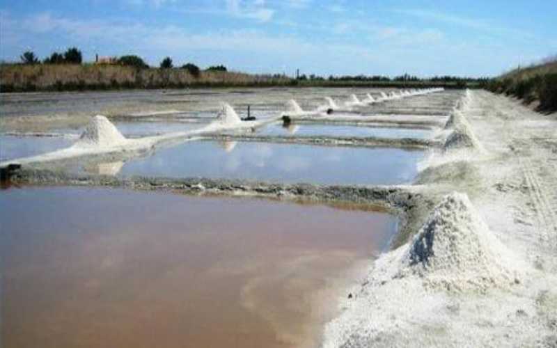 الاندبندنت البريطانية: قلة الملح لا تقل