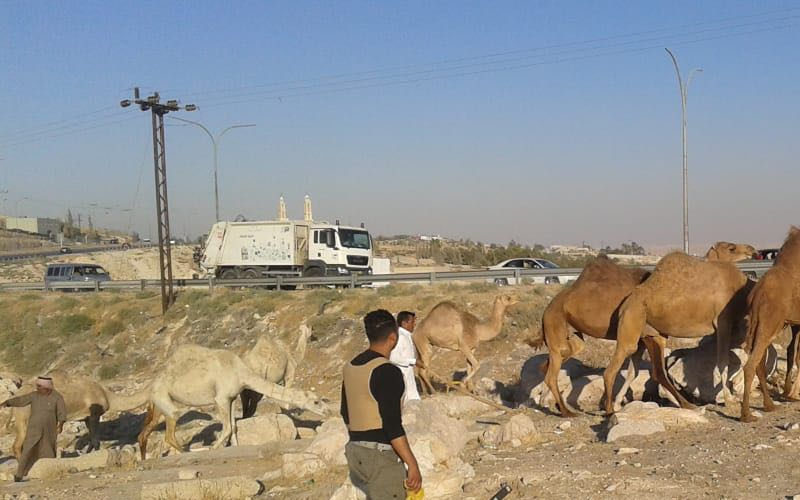 بالصور .. القبض على شخصين سرقا