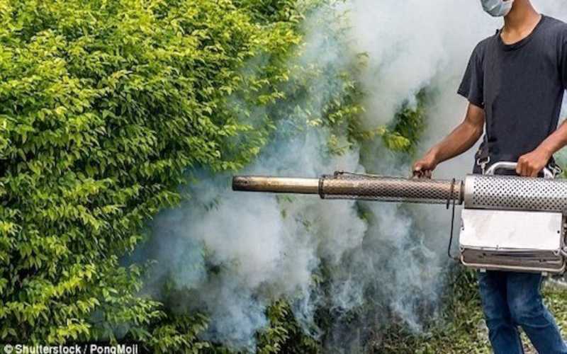 لماذا عوض مزارع أمريكي بسيط بـ289