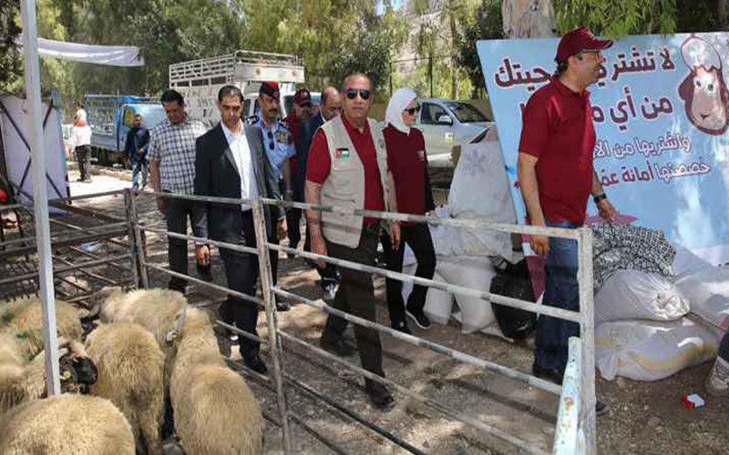الشواربة يدعو لتنظيم بيع وذبح الأضاحي