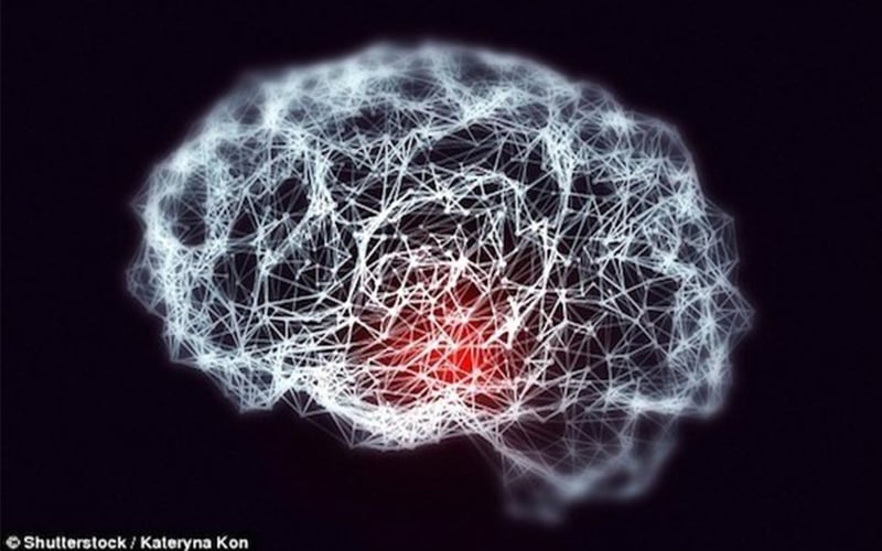 دراسة: البدانة تدمر وظائف الدماغ