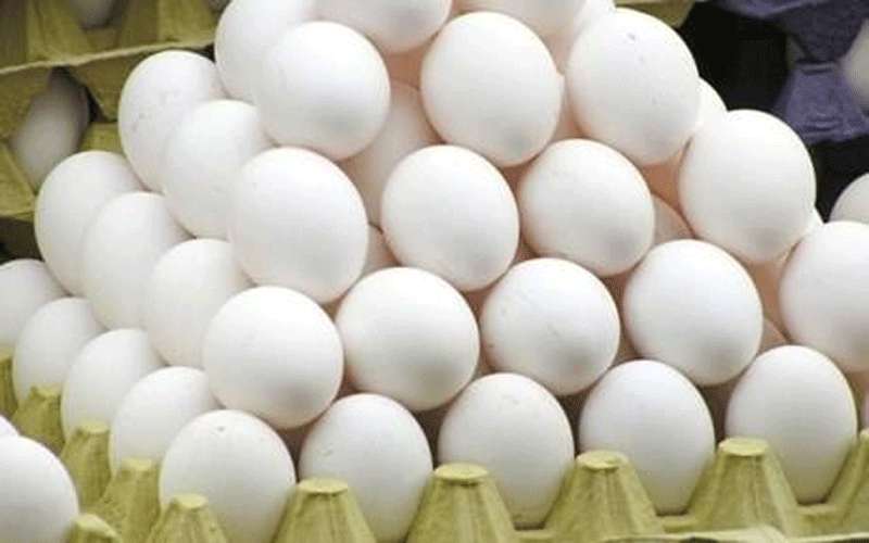 مواطنون يتوعدون الفريق الوزاري بالبيض الفاسد