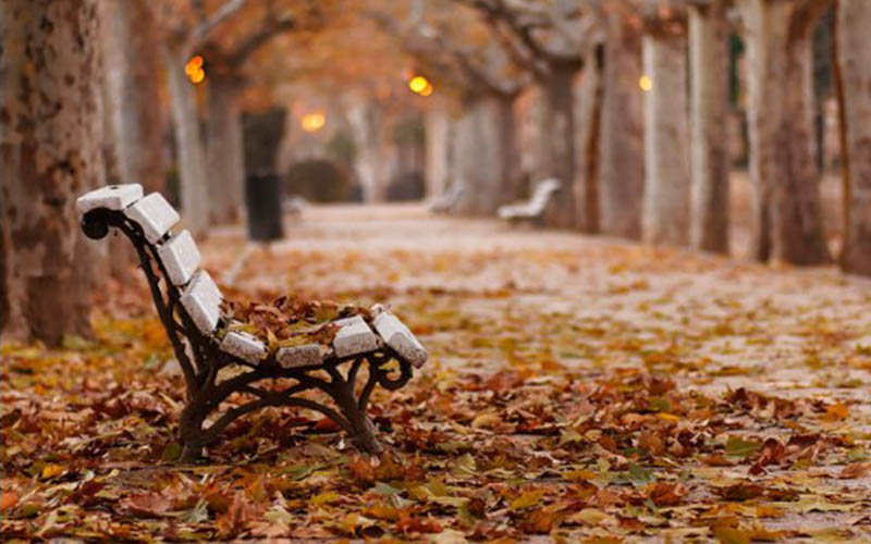 الأرصاد الجوية : الأحد المقبل أول