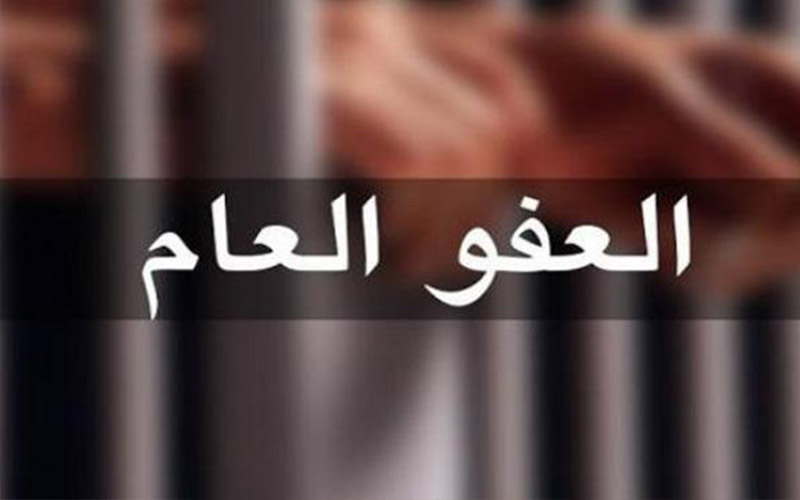 قانونية الوزراء تقدم توصياتها حول العفو