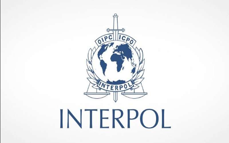 الإنتربول يفتح تحقيقا في فرنسا بعد