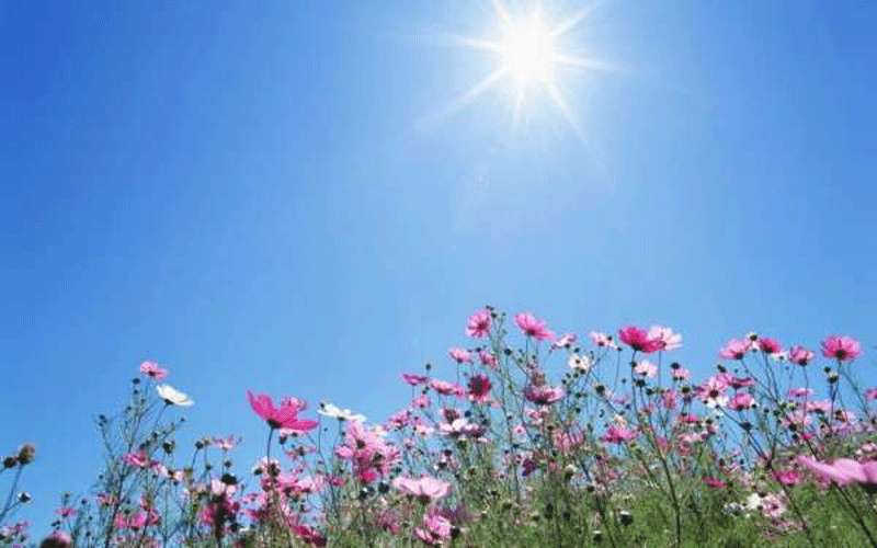 اجواء معتدلة الحرارة اليوم وغدا