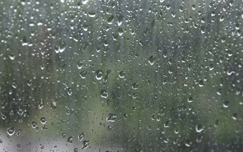 أمطار بالكورة والزراعة توصي بتأخير قطف