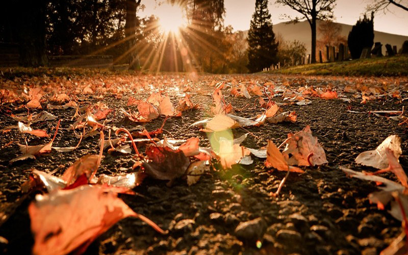 الاربعاء .. اجواء خريفية معتدلة