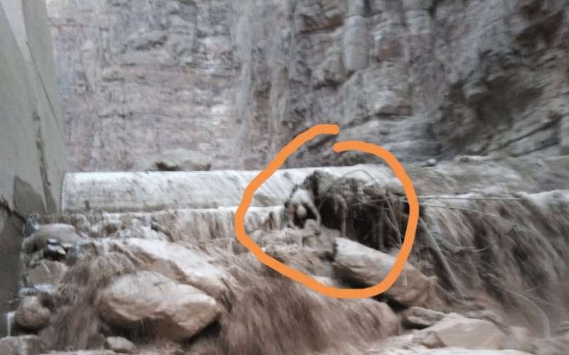 شاهد عيان يروي تفاصيل إنقاذ أطفال