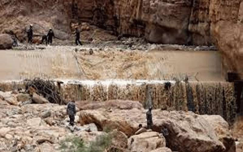 الصحة: لا نتائج لفحص DNA والطب