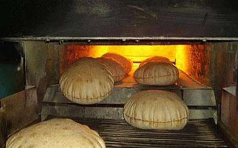 ضبط حشرات داخل مخبز في العقبة