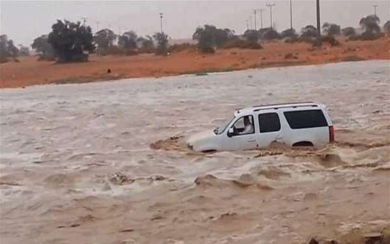 السيول تجرف حيوانات نافقة في السعودية