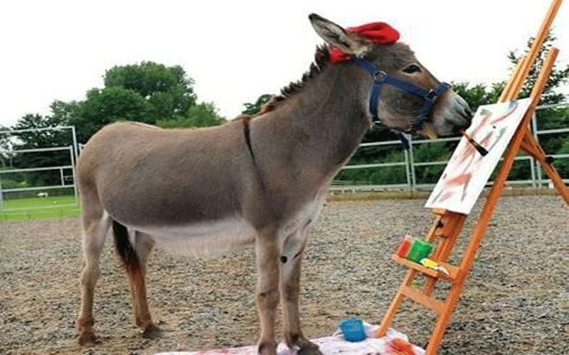 حبس كویتیة قالت لابنھا: (ادرس یا