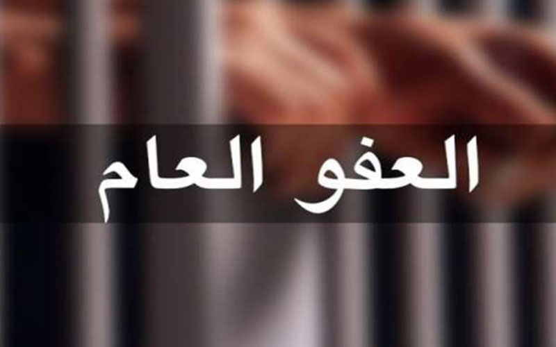 الحكومة: لجنة العفو العام لم تنه