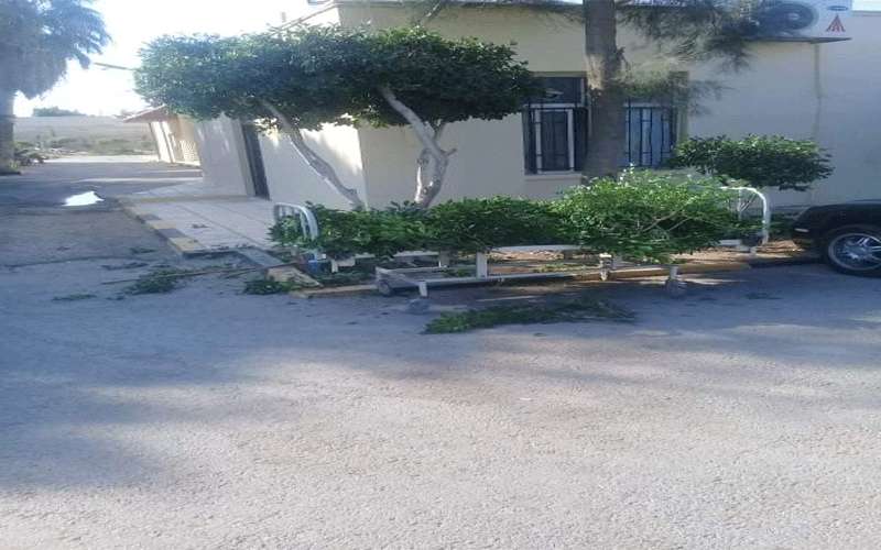 إستخدام سرير طبي لنقل بقايا تقليم