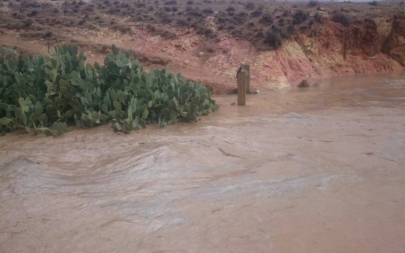 مادبا: اصابة ثلاثة اشخاص داهمتهم السيول