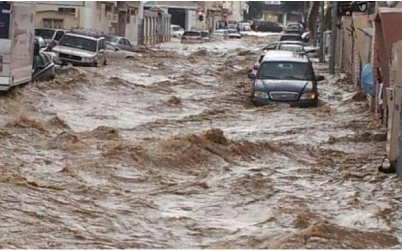 السياحة تقرر وقف جميع الرحلات الى