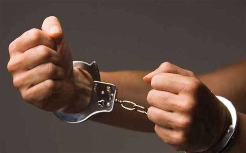 خلال اسبوع.. الامن يتعامل مع 219