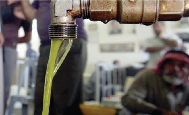 ضبط 80 تنكة زيت زيتون مغشوش