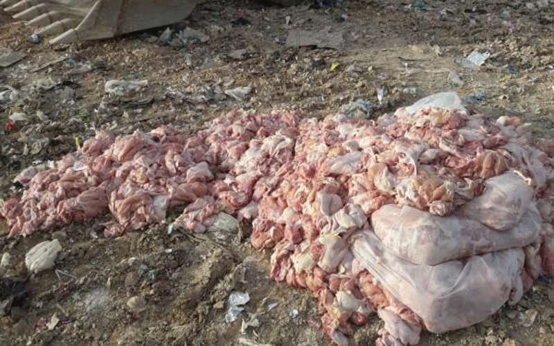 ضبط طن من الدجاج المسحب الفاسد