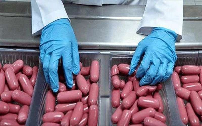 لحم خنزير بمؤتمر الإسلام الألماني يثير