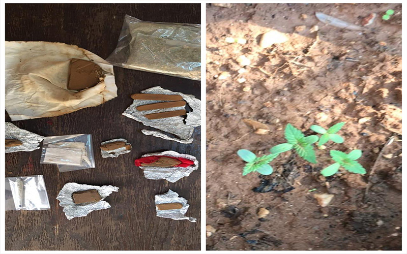 بالصور .. القبض على (26) من