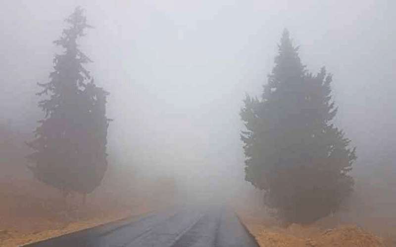 طقس بارد ومستقر بداية الأسبوع مع