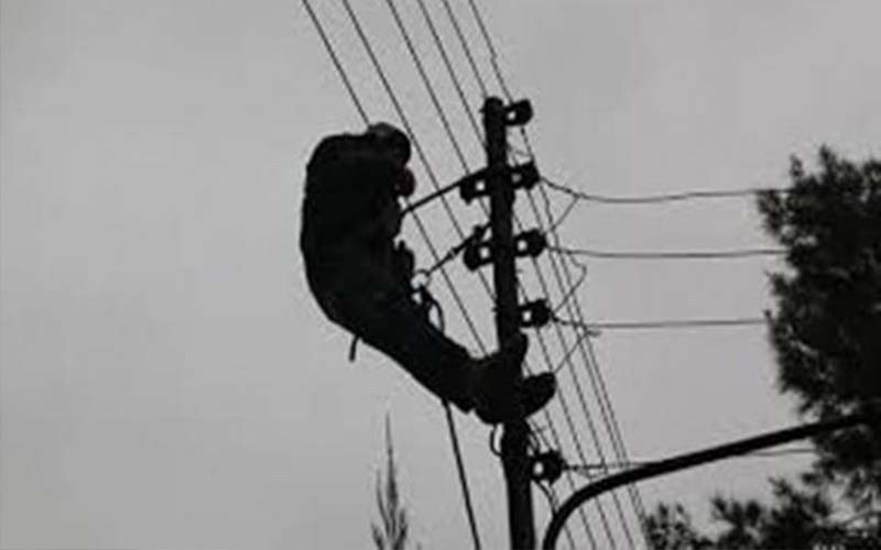 331 عطلا كهربائيا و 102 شكوى